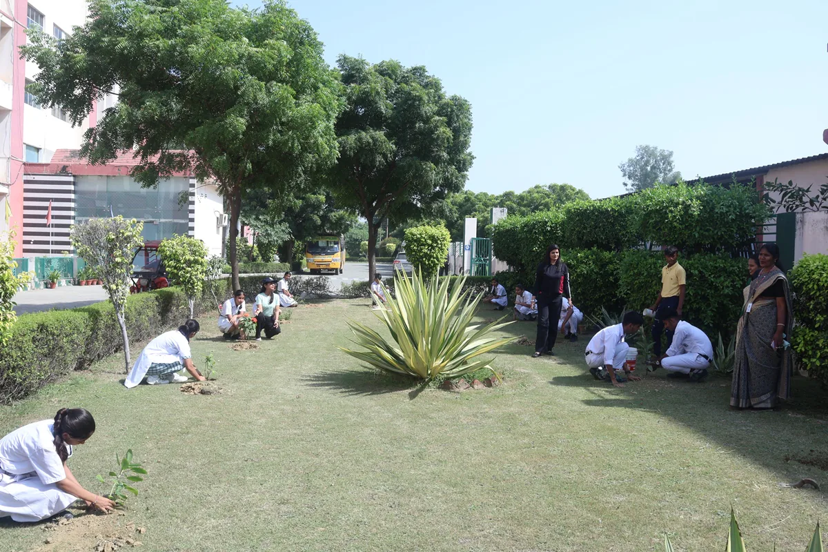 Green areas and planting across the DWPS campus
